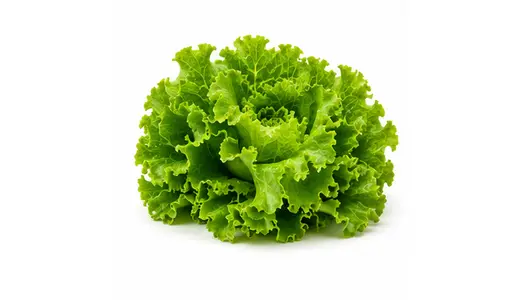 Verdure a foglia