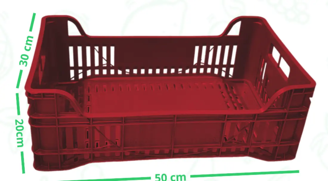 Cassetta Europa 20